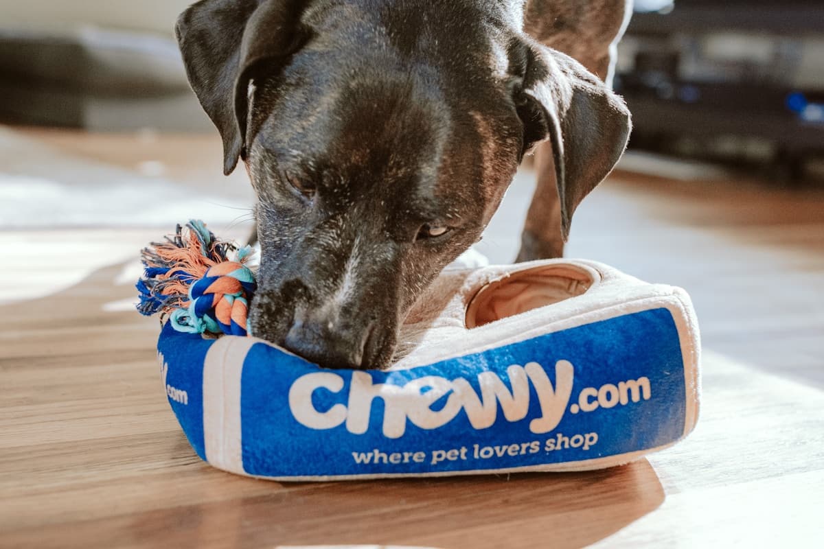 Lemmikkihotellit ja täysihoitolat